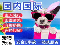 图木舒克唐王城机场物流国际宠物托运 【国